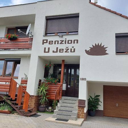 Penzion U Jezu - Ubytovani Pasohlávky Екстериор снимка